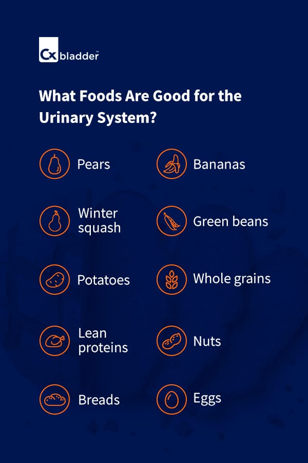 What Foods Are Good for the Urinary System