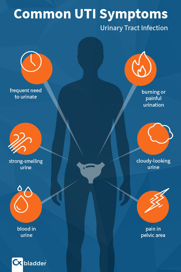 11 UTI Causes You Need to Know