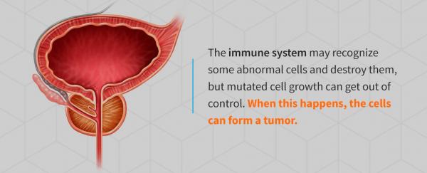What Are the Main Causes of Bladder Cancer